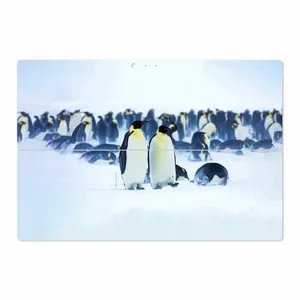 MAHOOT Penguin Cover Sticker for Microsoft Surface Pro 3 2014
