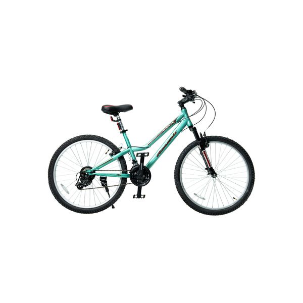 دوچرخه کوهستان آساک مدل تیوان کد D-438-5262183 سایز طوقه 26 اینچ