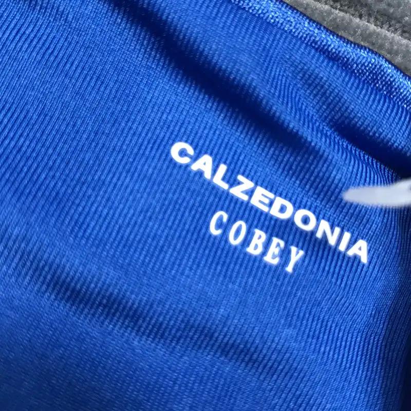 مایو زنانه کالزدونیا مدل SL01668F