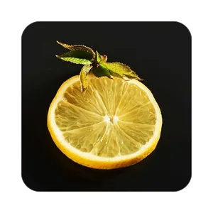 زیر لیوانی کاکتی طرح میوه مدل mp20847