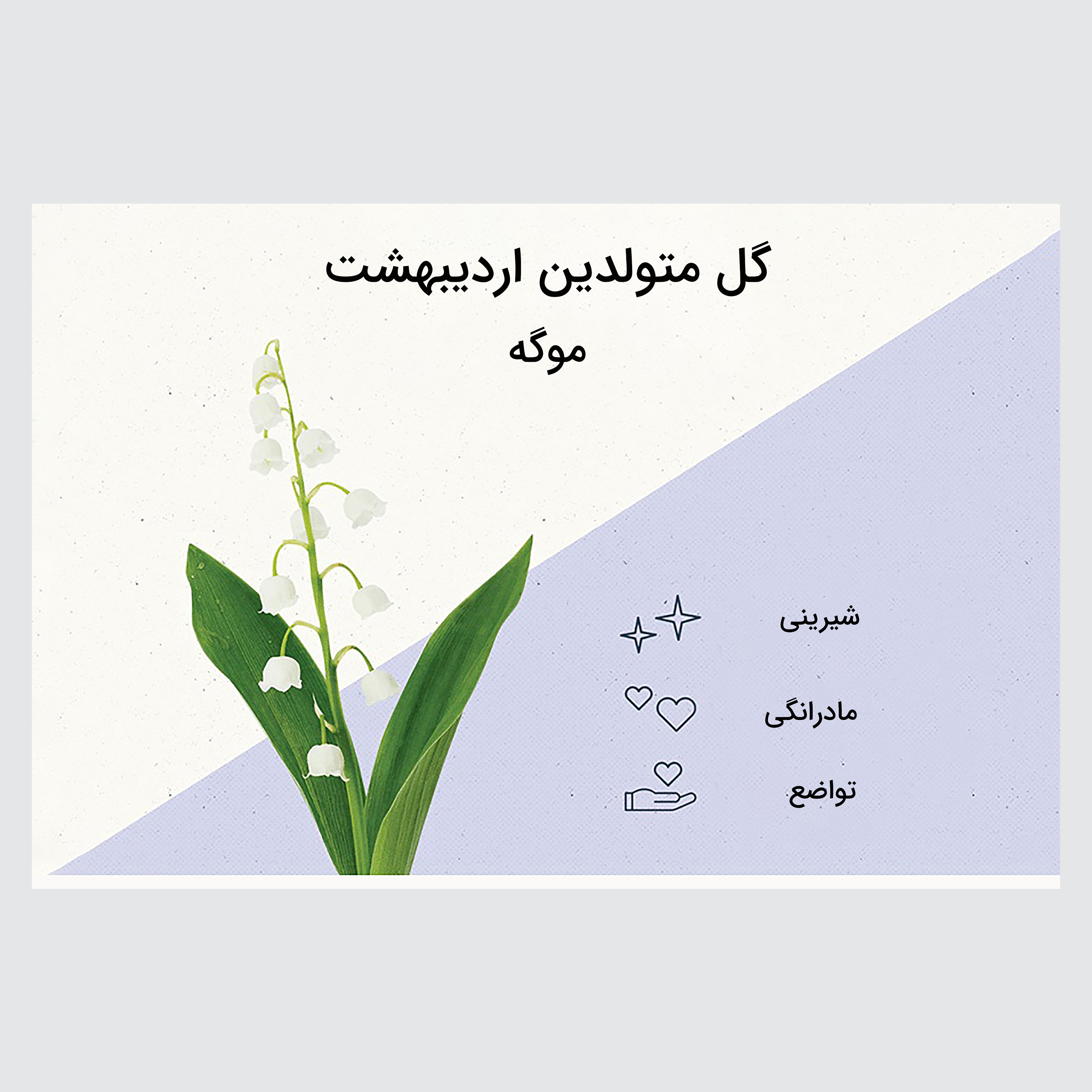 کارت پستال ماهتاب مدل گل ماه تولد اردیبهشت کد 2097