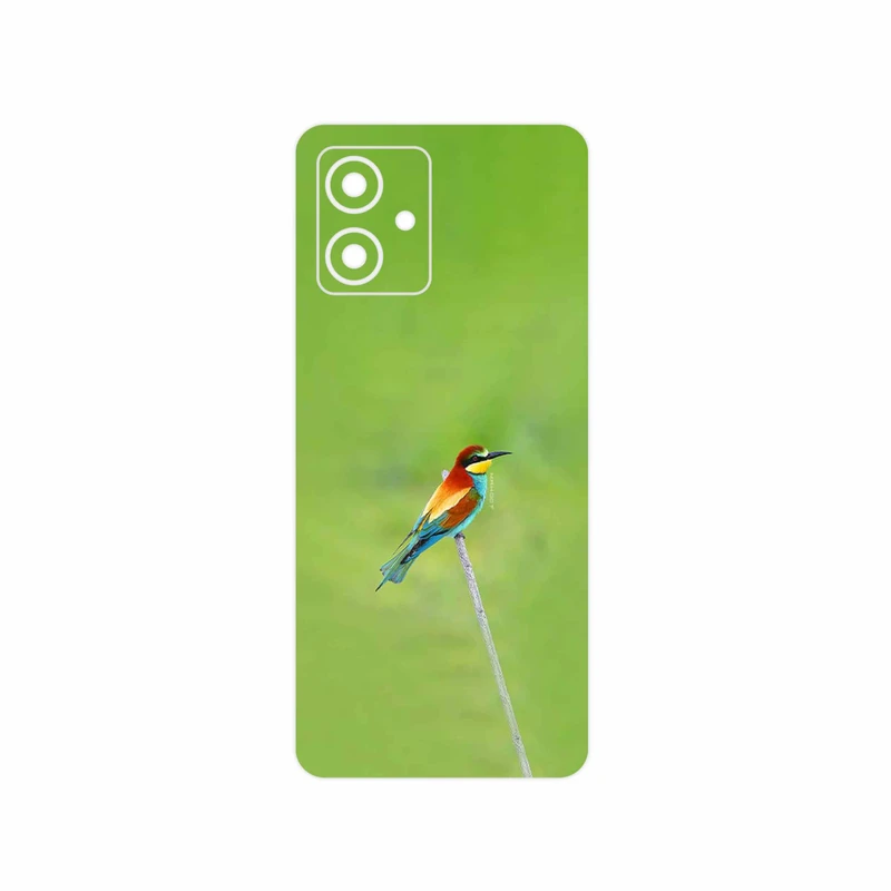 برچسب پوششی ماهوت مدل European bee-eater مناسب برای گوشی موبایل موتورولا Moto G54