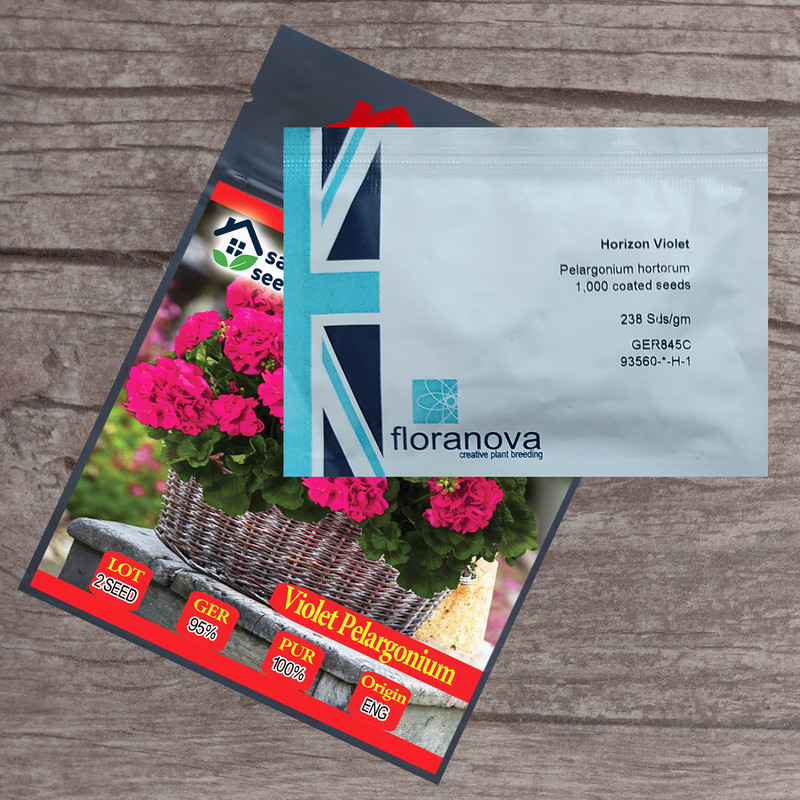 بذر گل شمعدانی بنفش سانیا سید مدل S3 مجموعه 3 عددی