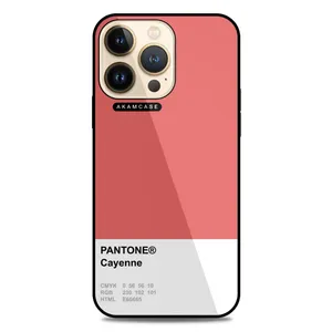 AKAM AMC-WA13PRO-PANTONE-26 Cover For Apple iPhone 13 Pro