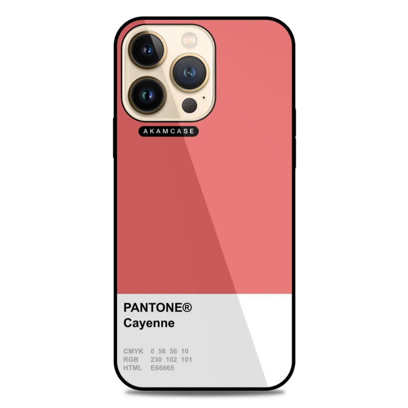 کاور آکام مدل AMC-WA13PRO-PANTONE-26 مناسب برای گوشی موبایل اپل iPhone 13 Pro