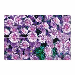 MAHOOT Purple-Flower Cover Sticker for Microsoft Surface Pro 3 2014