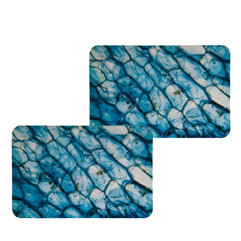 زیربشقابی طرح آبرنگی کد 9175 بسته 2 عددی 