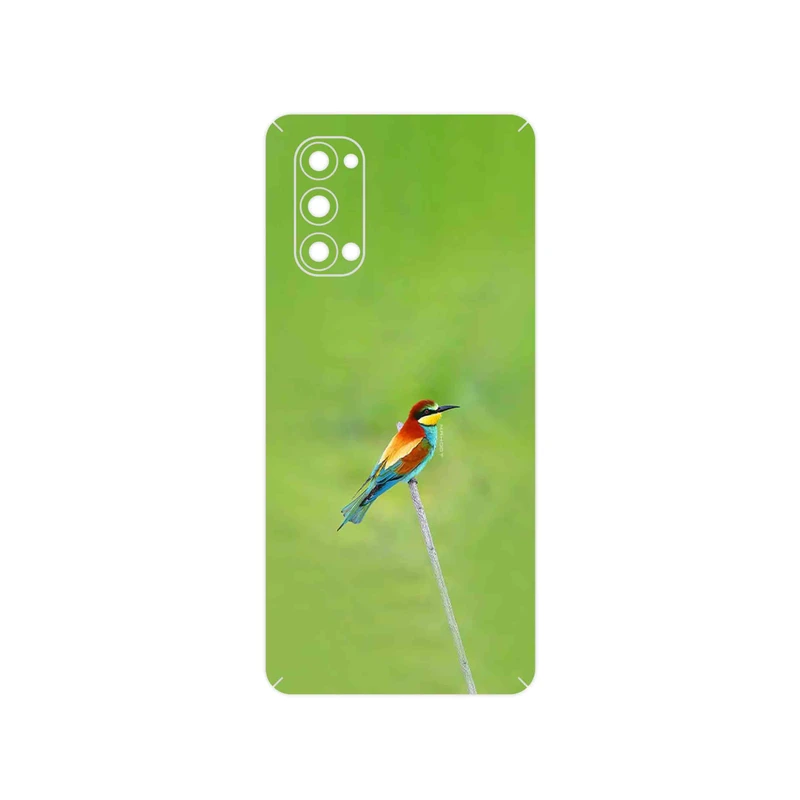 برچسب پوششی ماهوت مدل European bee-eater مناسب برای گوشی موبایل اپو Reno4 Pro 5G