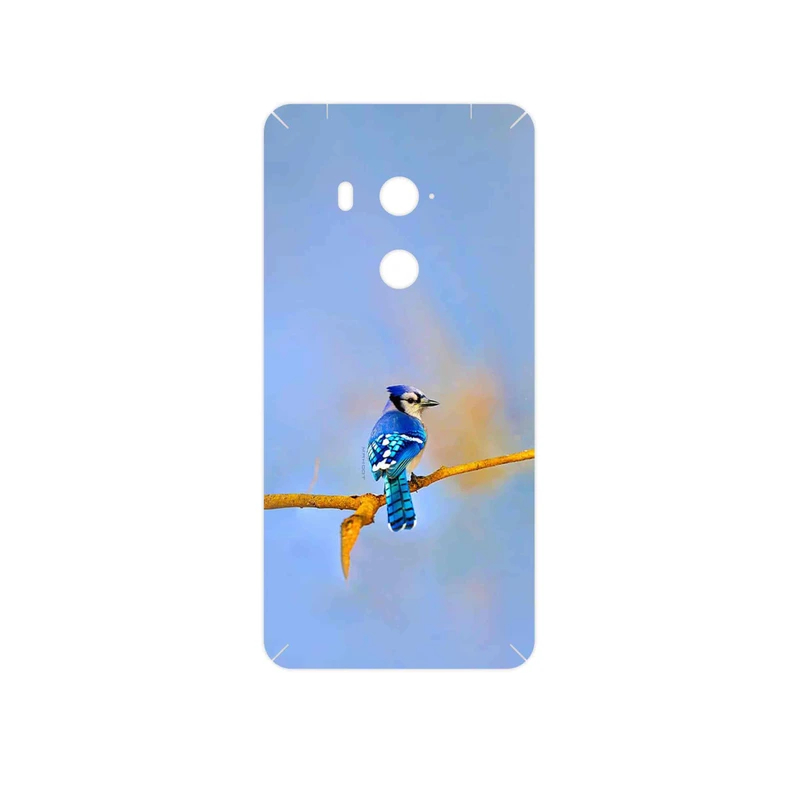 برچسب پوششی ماهوت مدل Cyanocitta cristata مناسب برای گوشی موبایل اچ تی سی U11 Eyes