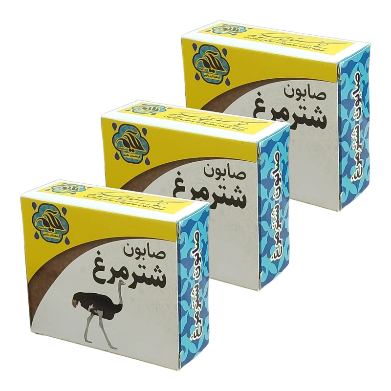 صابون شستشو گیاهستان حکیم مدل شترمرغ وزن 70 گرم بسته 3 عددی