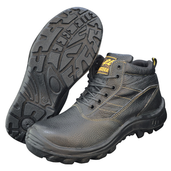 پوتین ایمنی مدل زاگرس