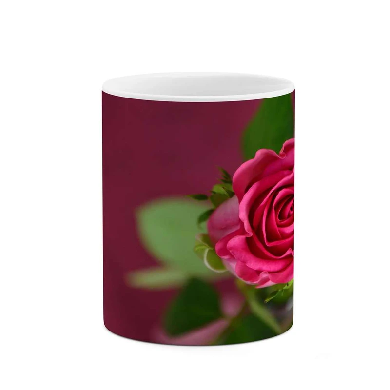 ماگ کاکتی مدل گل کد mgh16373