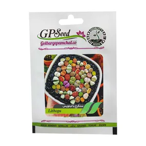 بذر ساکولنت سنگرخ یا لیتوپس گلبرگ پامچال کد GPF-187 