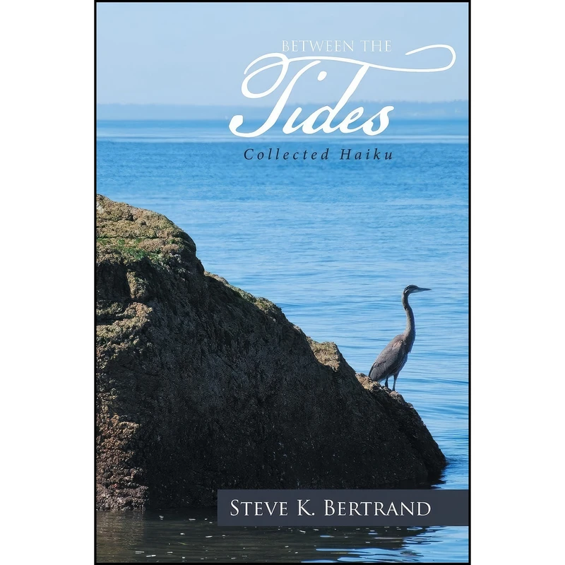 کتاب Between the Tides اثر Steve  K. Bertrand انتشارات XLIBRIS