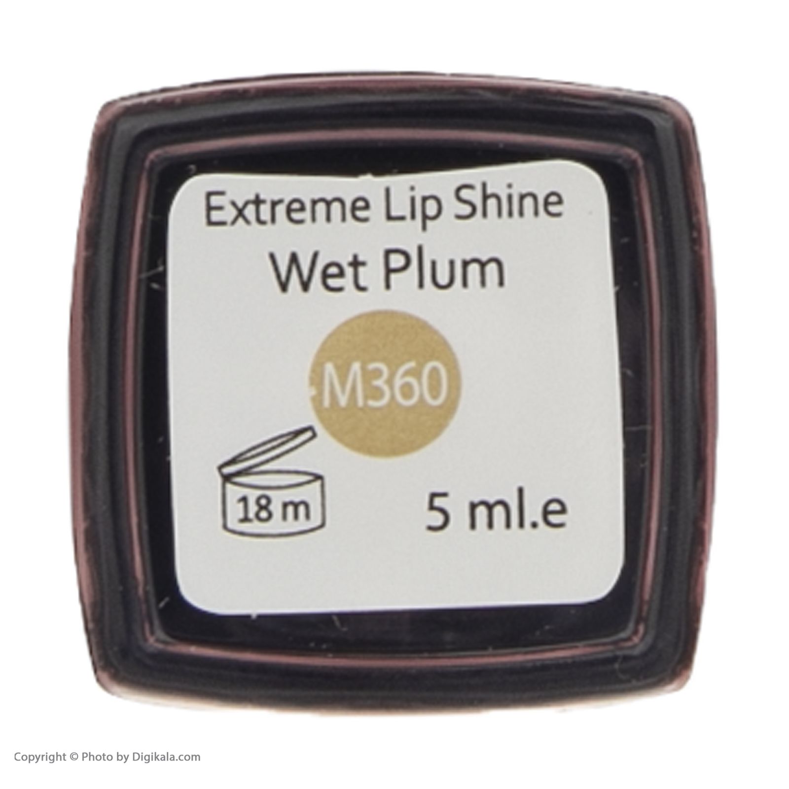 رژ لب مایع این لی مدل Wet Plum شماره M360 -  - 2