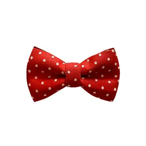 پاپیون پسرانه مدل نخی خالدار 1