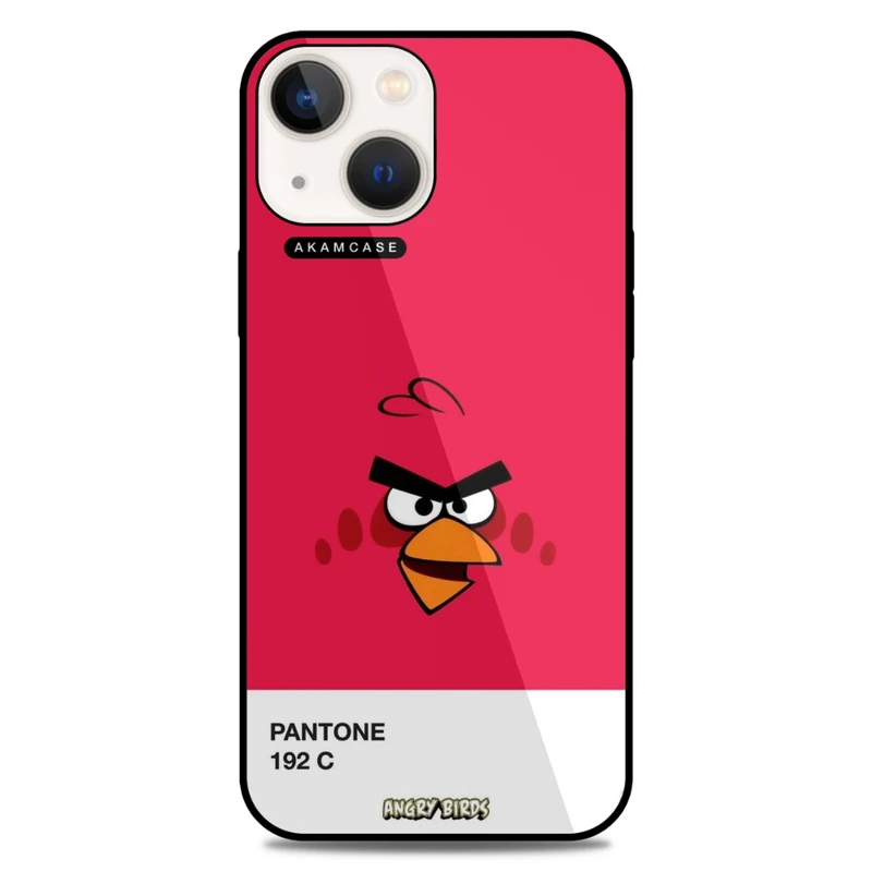 کاور آکام مدل AMC-WA13-ANGRY BIRDS11 مناسب برای گوشی موبایل اپل iPhone 13