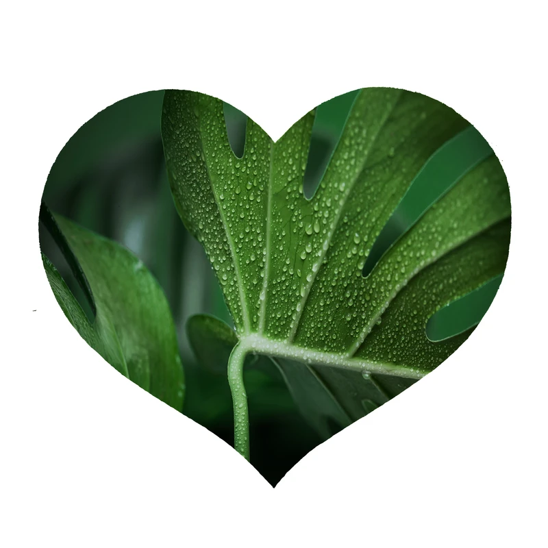  پادری طرح برگ کد 8359 سایز 90 × 90 سانتی‌متر