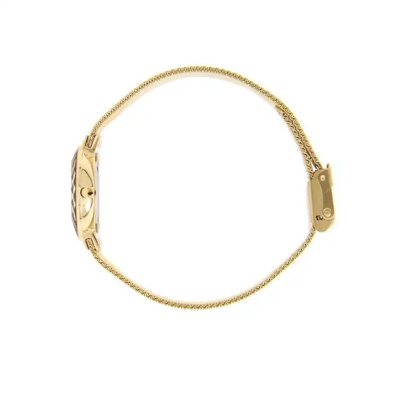 ساعت مچی عقربه ای زنانه اسکاژن دانمارک مدل 456sgsg