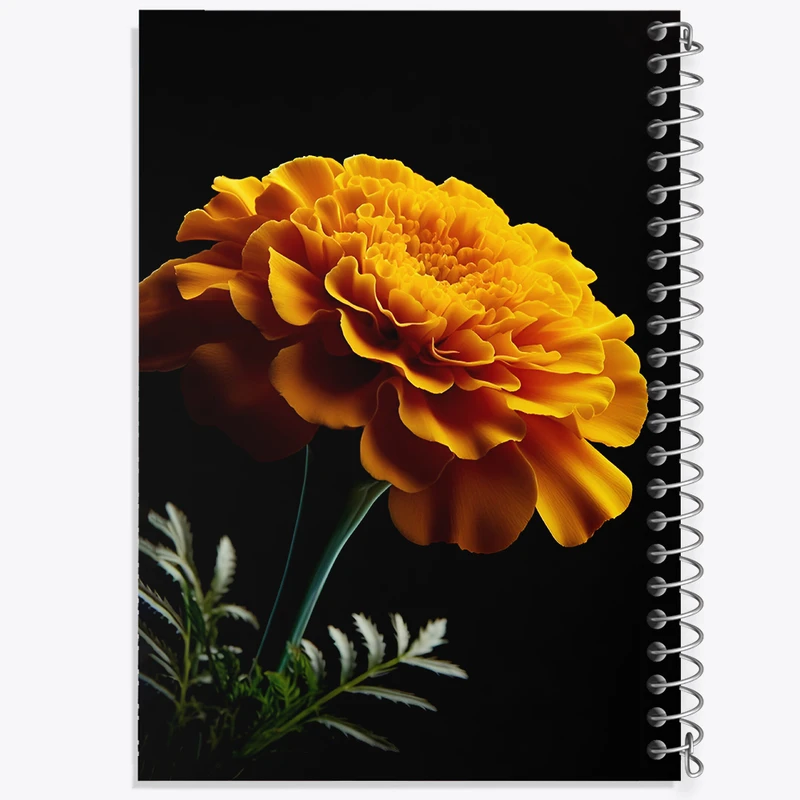 دفتر نقاشی 50 برگ خندالو طرح گل زرد کد F6213