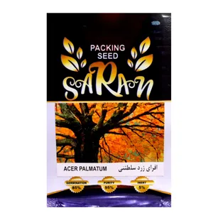 بذر درخت افرای زرد سلطنتی ساران مدل MRH_125