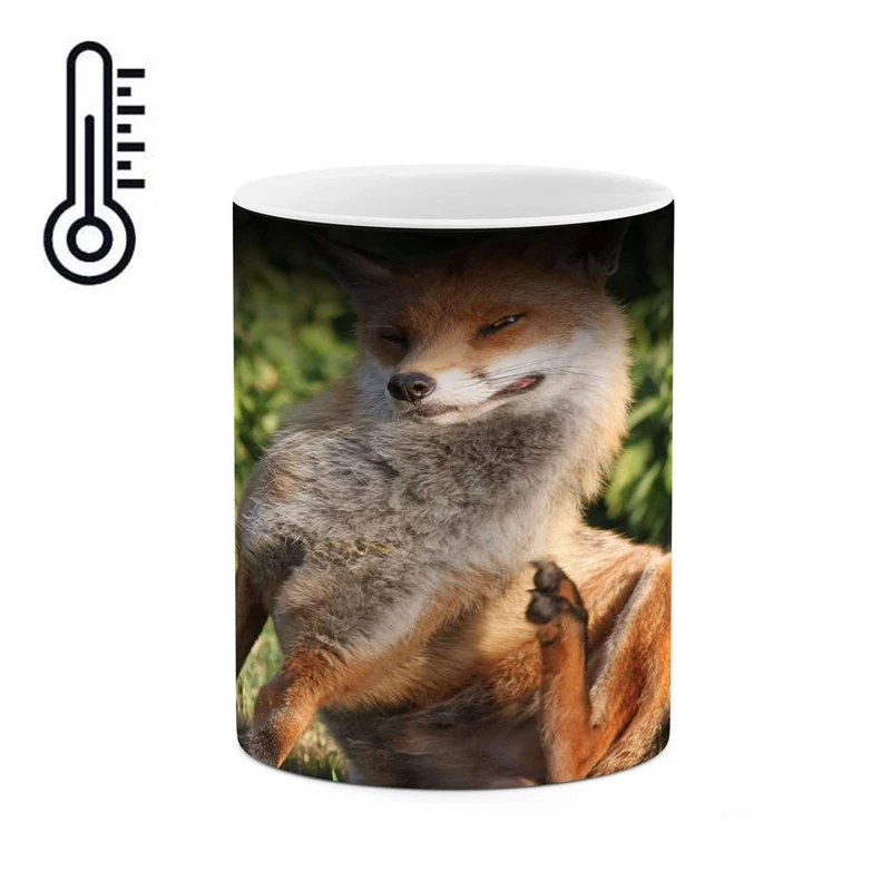 ماگ حرارتی کاکتی مدل روباه کد mgh11178