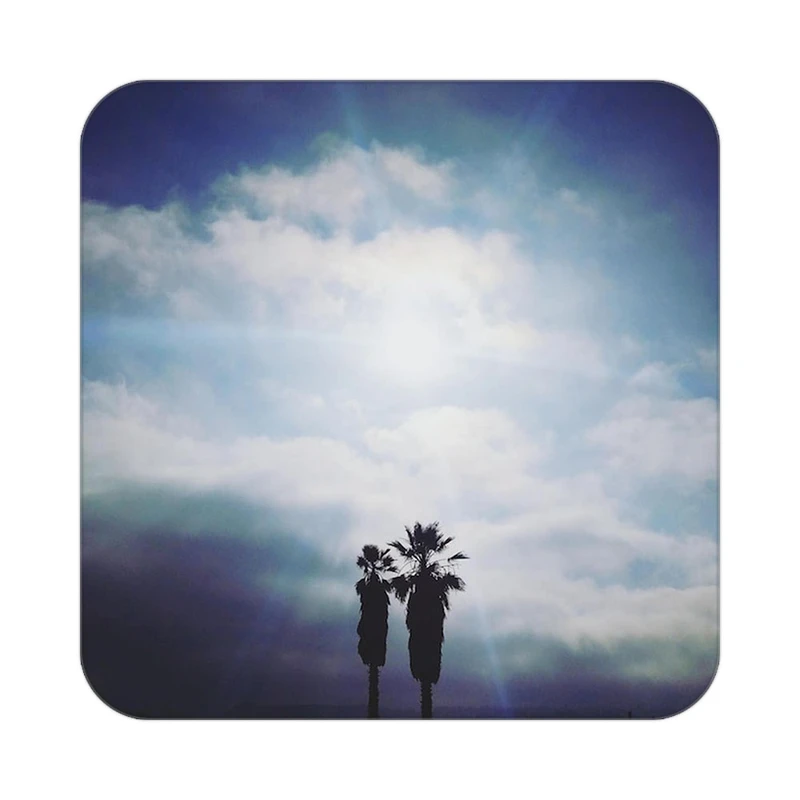 زیر لیوانی کاکتی مدل عاشقانه کد mp12499