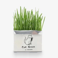 علف گربه مدل Catgrass
