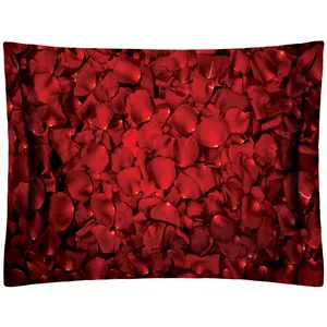 بالش رنس مدل PP2-20803