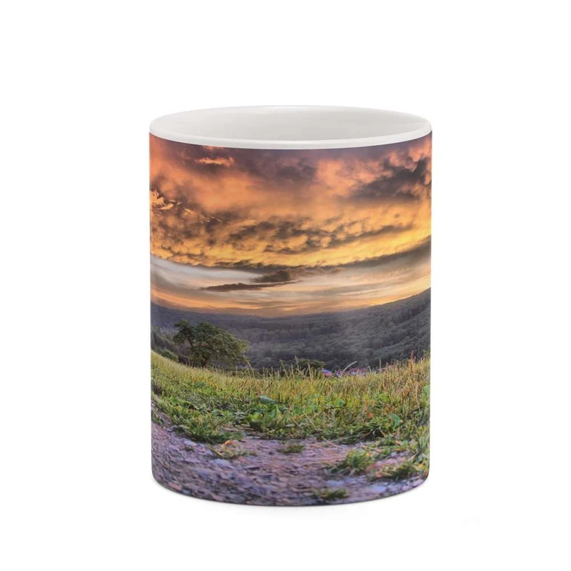 ماگ کاکتی مدل منظره کد mgh20776