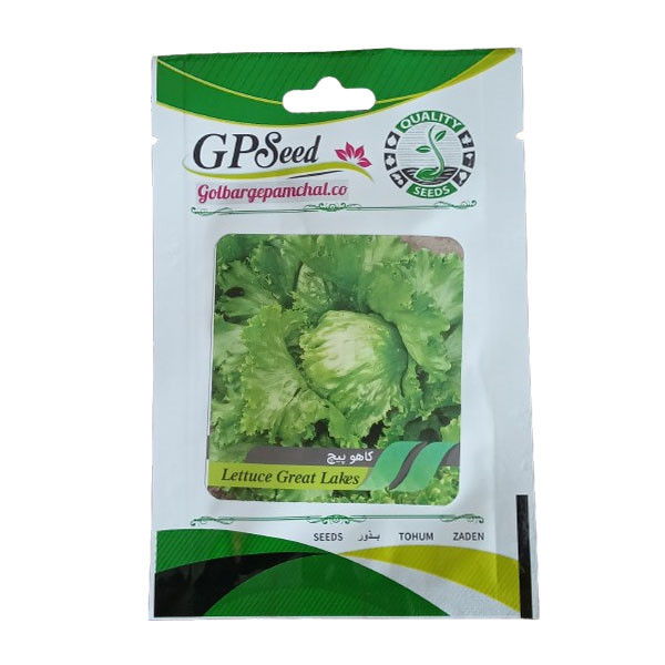 بذر کاهو پیچ گلبرگ پامچال کد GPS-145