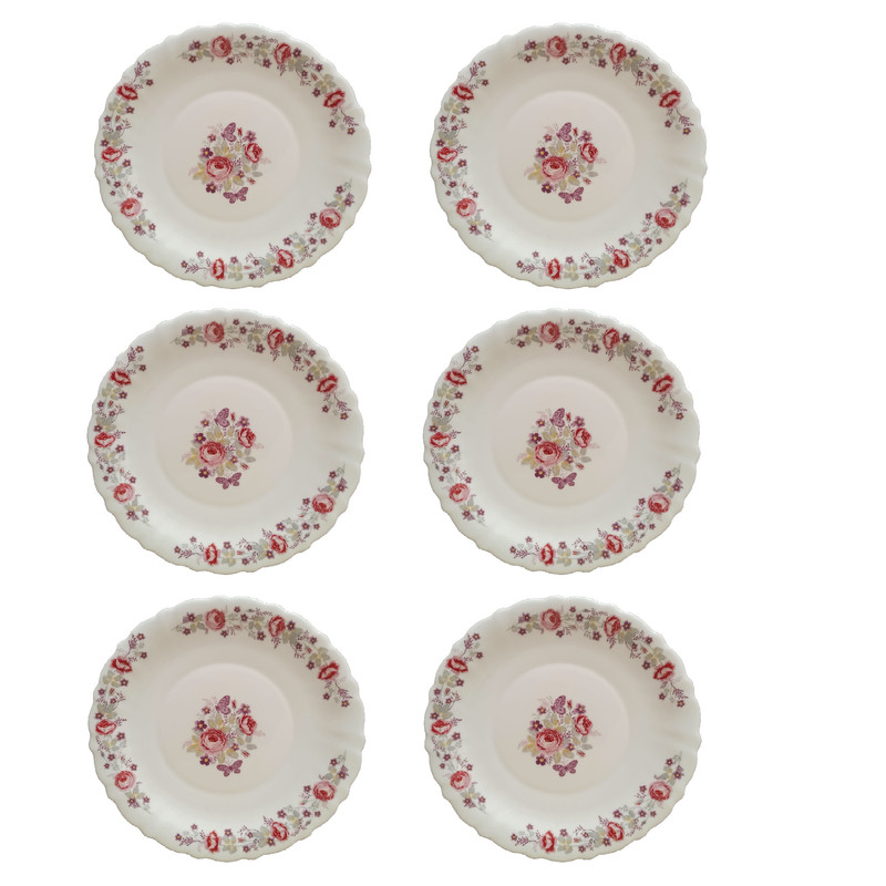 پیش دستی پارس اپال مدل دنیز بسته 6 عددی