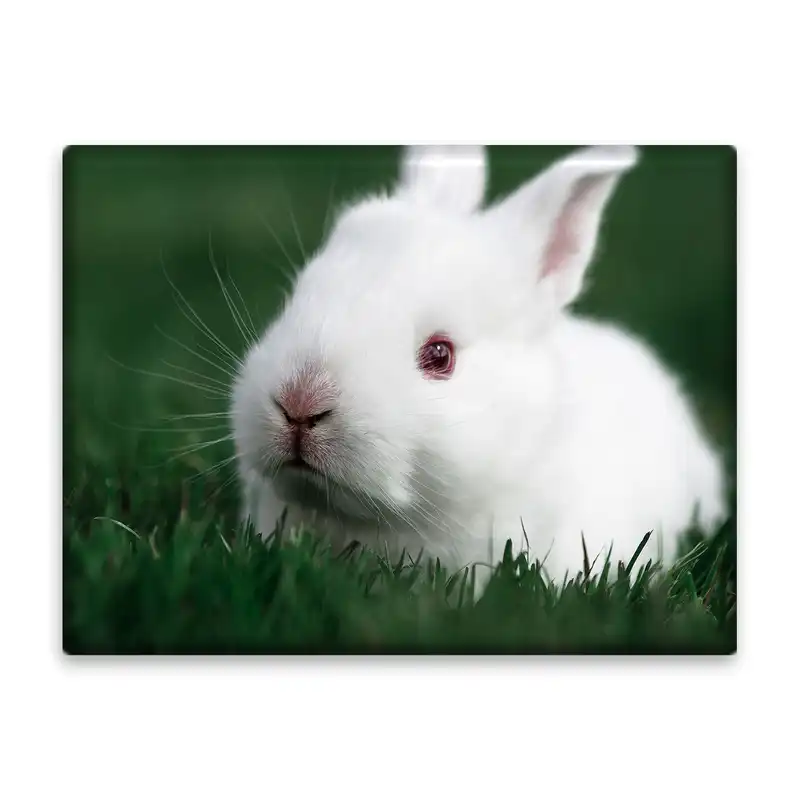 کاشی اطلس آبی طرح خرگوش مدل T1534