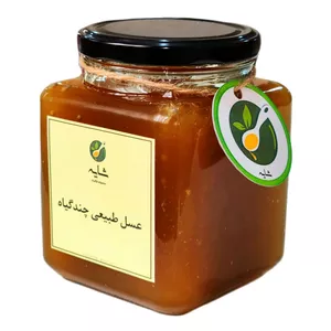 عسل طبیعی چندگیاه شایه - 900 گرم