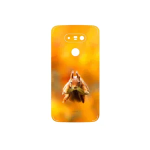 MAHOOT Squirrel Cover Sticker for LG G5