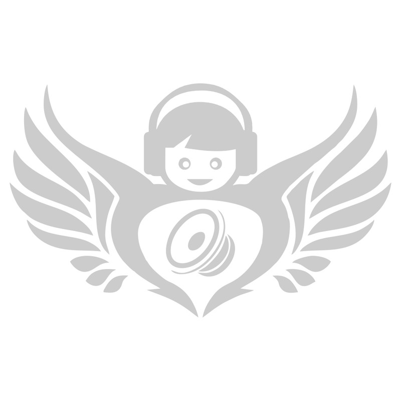 برچسب بدنه خودرو ماتریسیو طرح بال موسیقی کد M04