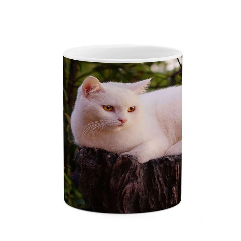 ماگ کاکتی مدل گربه کد mgh16926