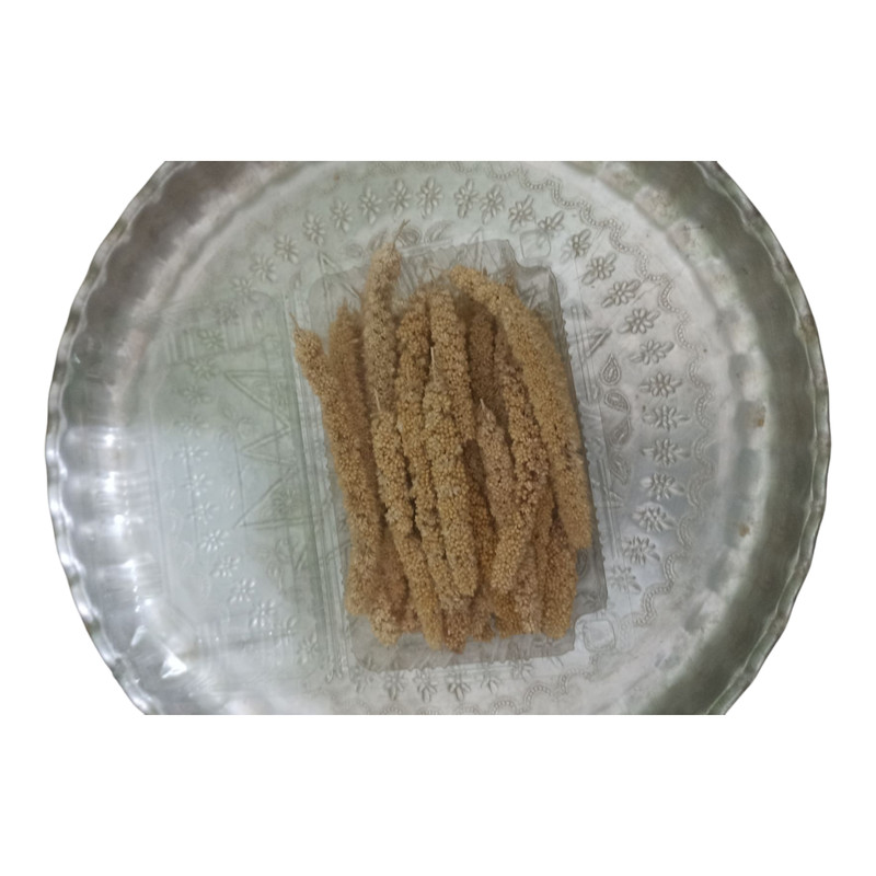 غذای پرندگان مدل ارزن خوشه ای ریز کد 10 بسته 100 عددی