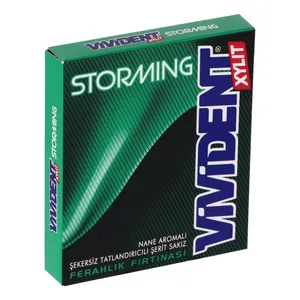 آدامس زایلیت بدون شکر نعنا ویویدنت - 33 گرم