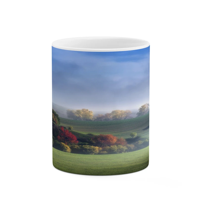 ماگ کاکتی مدل منظره کد mgh17643