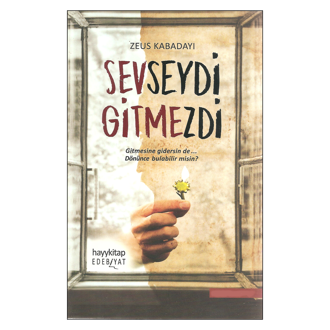 کتاب Seveseydi gitmezdi اثر Zeus Kabadayi انتشارات Hayykitap