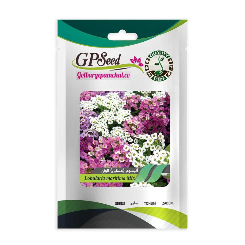 بذر گل آلیسوم گلبرگ پامچال کد GPF-008