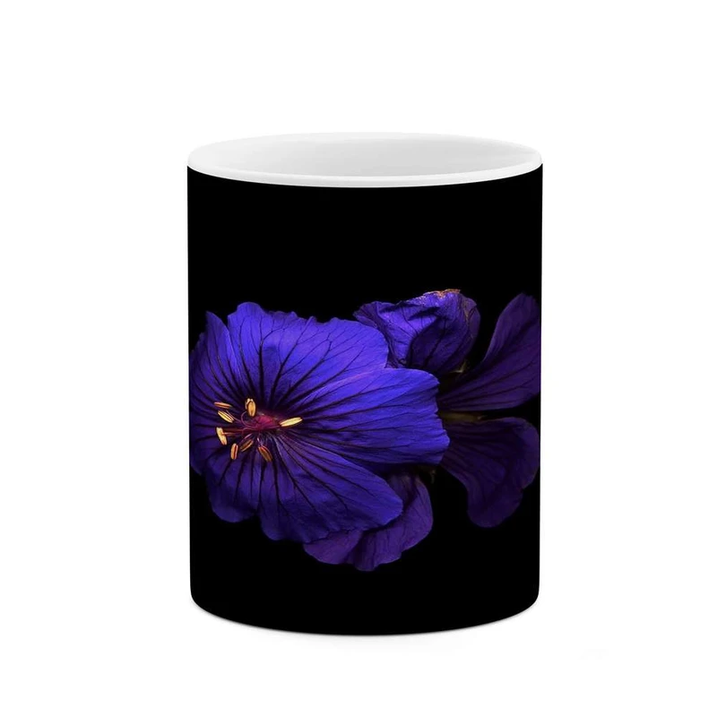 ماگ کاکتی مدل گل کد mgh14311