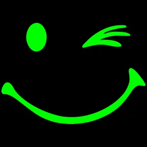 برچسب بدنه خودرو مدل شب تاب طرح چشمک  کدCK