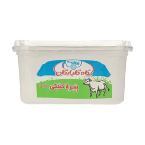 پنیر لاکتیکی پگاه - 300 گرم 