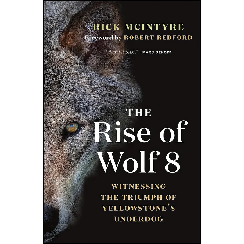 کتاب The Rise of Wolf 8 اثر Rick McIntyre and Robert Redford انتشارات Greystone Books