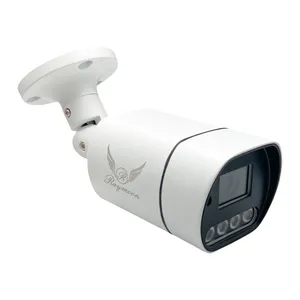 دوربین مداربسته تحت شبکه رایمون مدل IP-POE کد 60Q