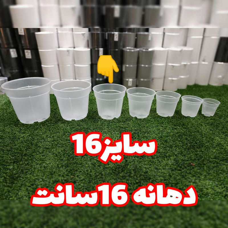 گلدان مدل شفاف ارکیده کد 16 بسته 6 عددی