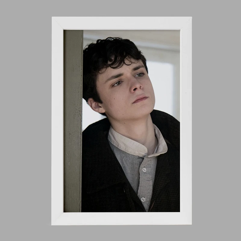 تابلو خندالو مدل گیلبرت سریال آنشرلی کد 28980