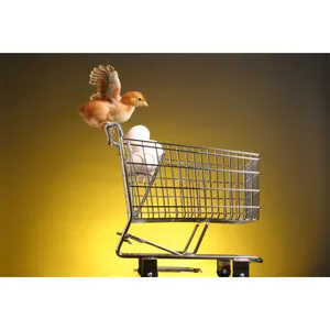 تابلو شاسی مدل جوجه و تخم مرغ و سبد خرید T5872